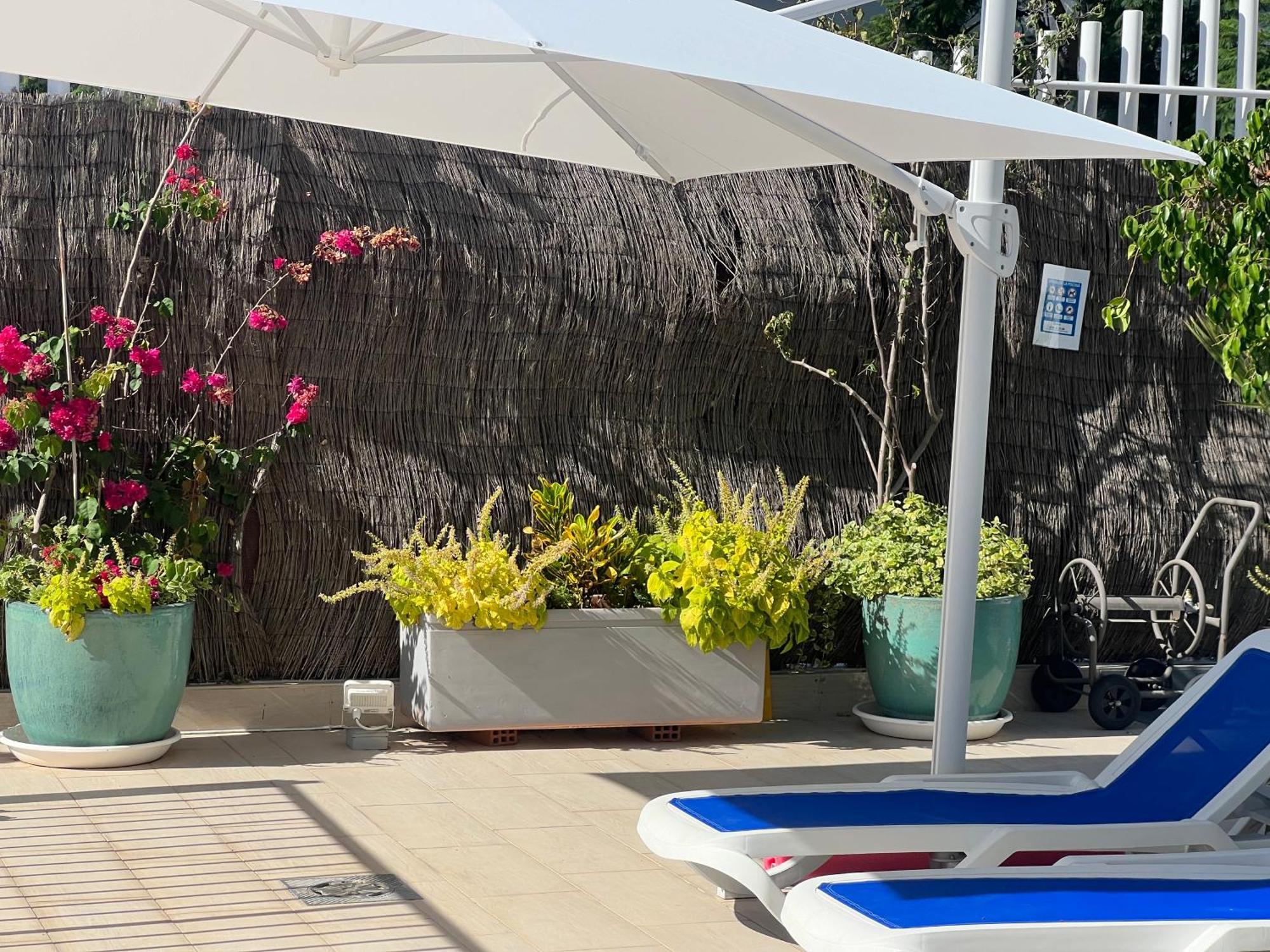 Ancla Real Apartamentos Loft El Puerto de Santa María Exteriér fotografie