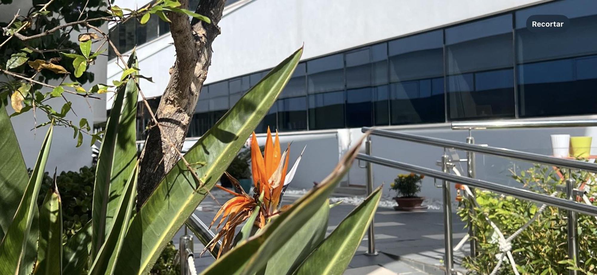 Ancla Real Apartamentos Loft El Puerto de Santa María Exteriér fotografie