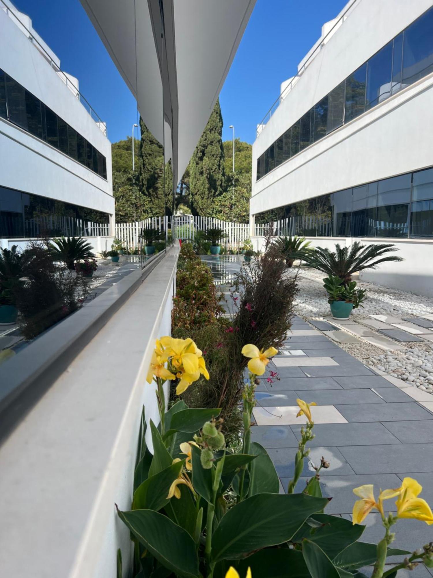 Ancla Real Apartamentos Loft El Puerto de Santa María Exteriér fotografie